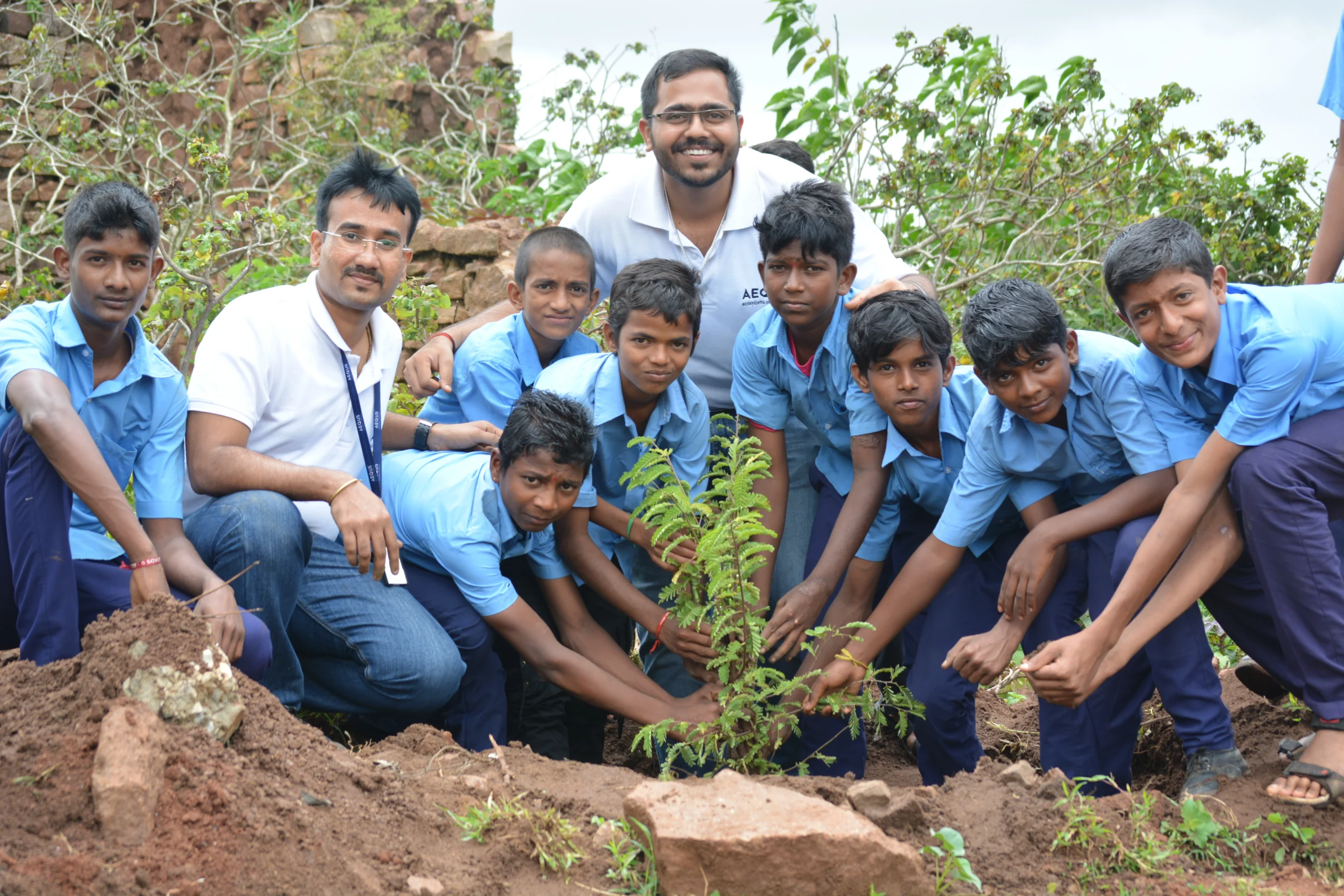 Tree Plantation